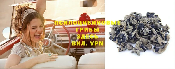 ALPHA-PVP Новодвинск