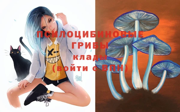 ALPHA-PVP Новодвинск