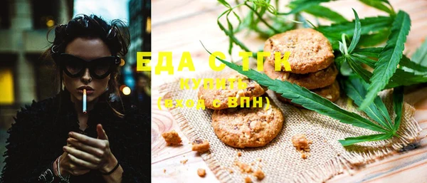 первитин Новозыбков