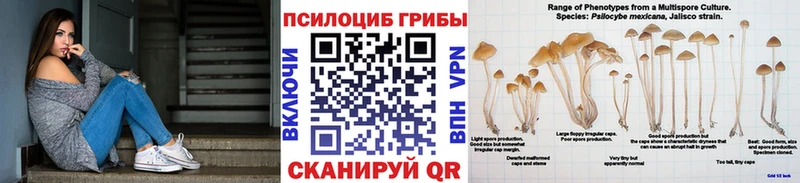 Псилоцибиновые грибы MAGIC MUSHROOMS  Княгинино 